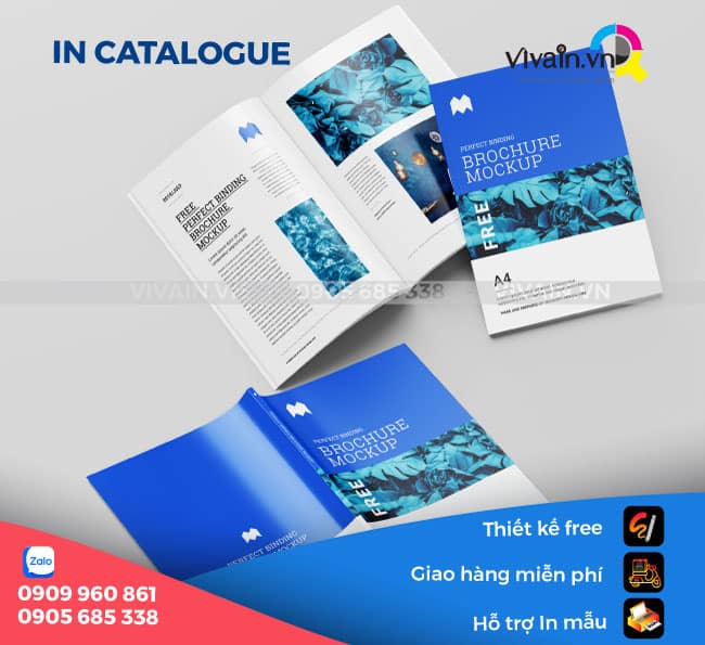 Mẫu Catalogue loại keo gáy